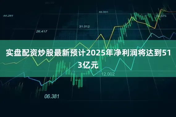 实盘配资炒股最新预计2025年净利润将达到513亿元