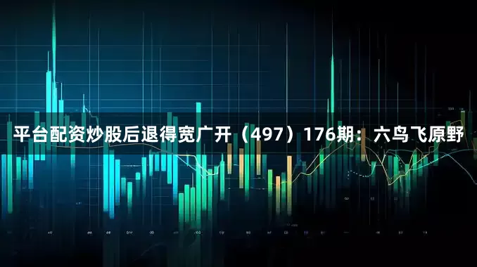 平台配资炒股后退得宽广开（497）　　176期：六鸟飞原野