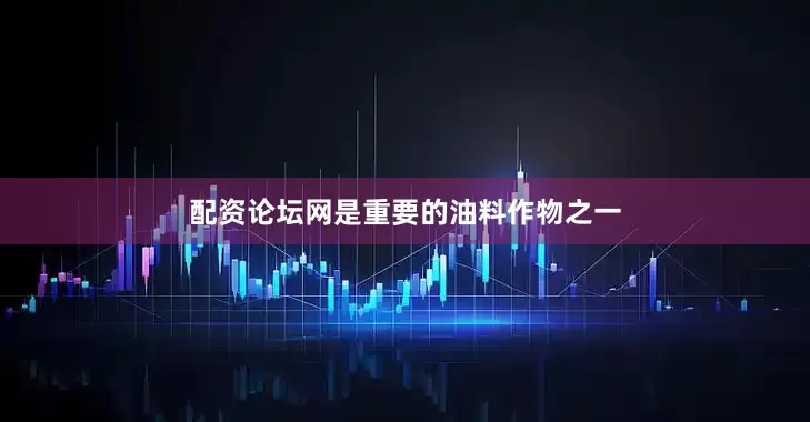 配资论坛网是重要的油料作物之一