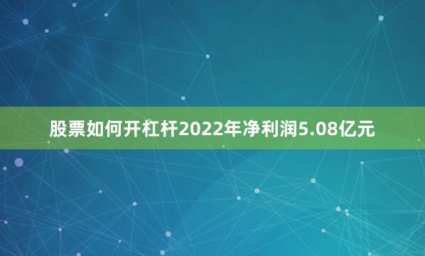 股票如何开杠杆2022年净利润5.08亿元