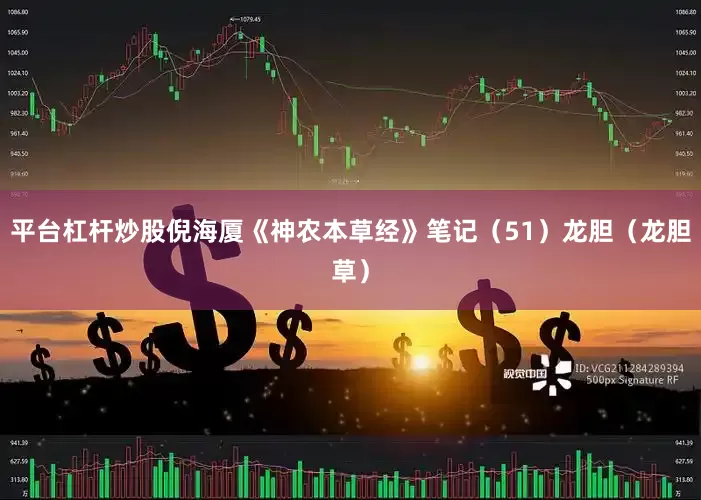 平台杠杆炒股倪海厦《神农本草经》笔记（51）龙胆（龙胆草）