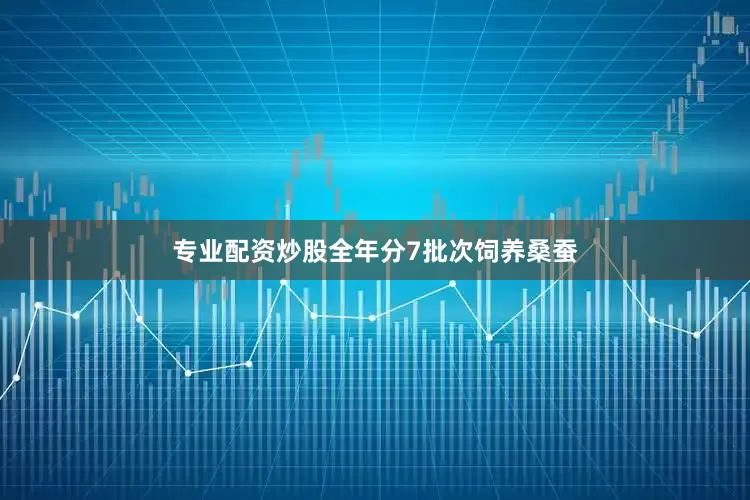 专业配资炒股全年分7批次饲养桑蚕